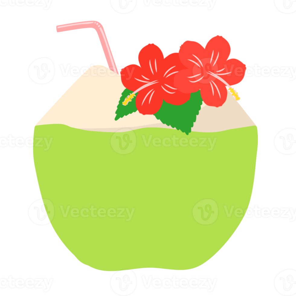 Fresh coconut water drink png