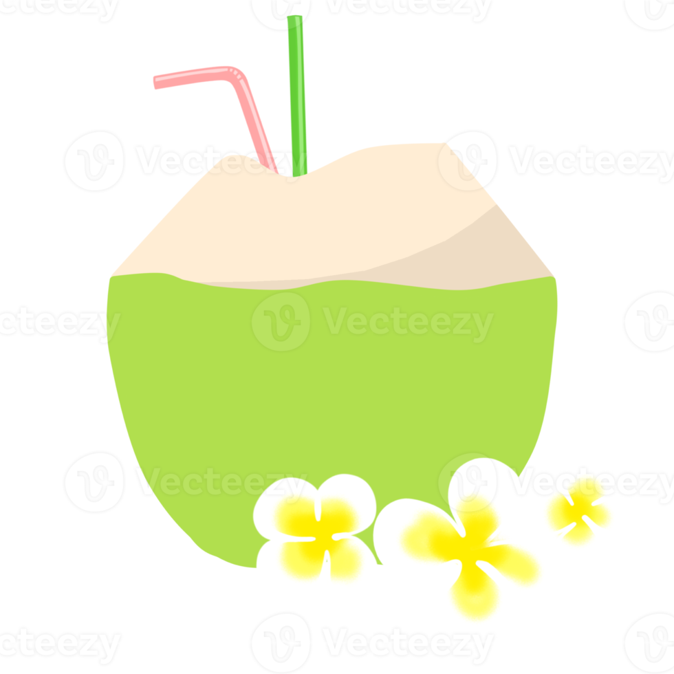 Fresh coconut water drink png