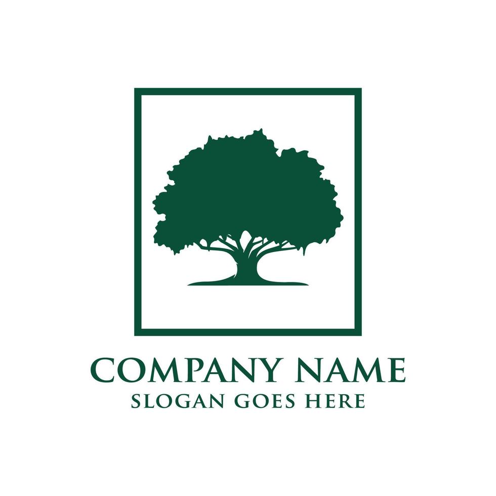 Oak tree logo design vector