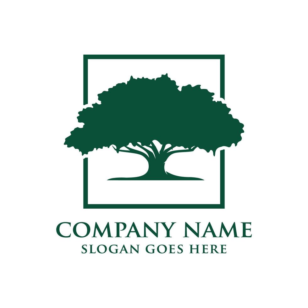 Oak tree logo design vector