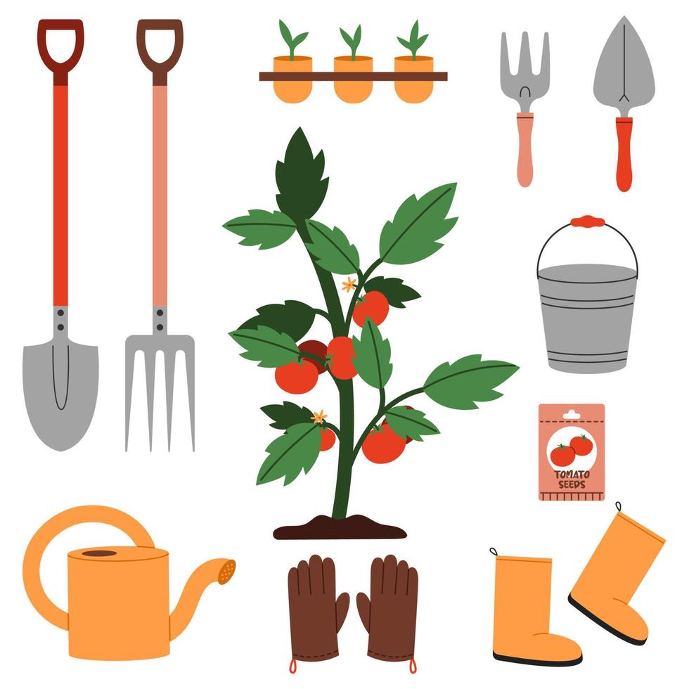 A tomato bush surrounded by essential gardening tools to help grow tomatoes. Shovel, tomato seeds, watering can, gloves, rake, seedlings, bucket, and other. vector