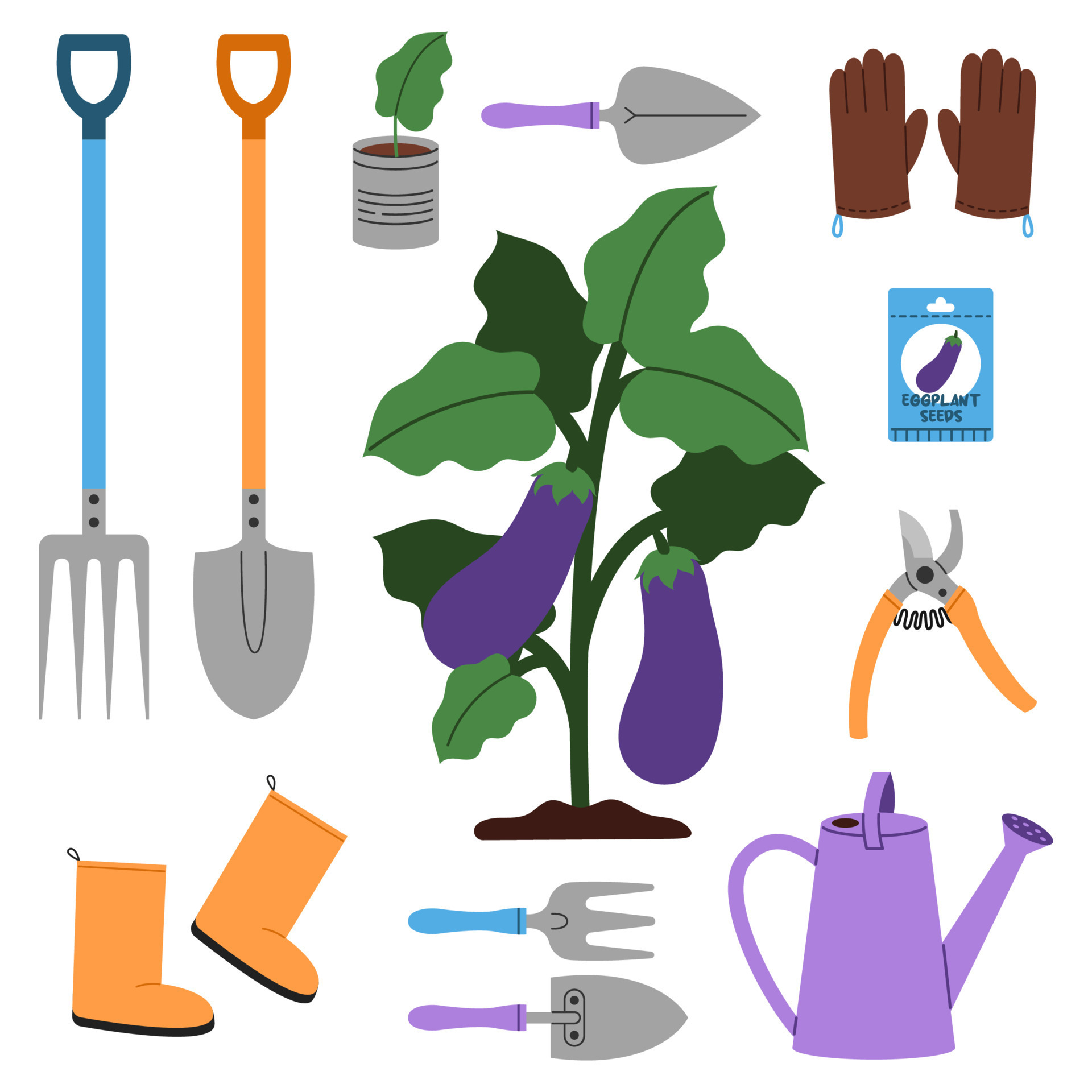 A eggplant bush surrounded by essential gardening tools to help grow