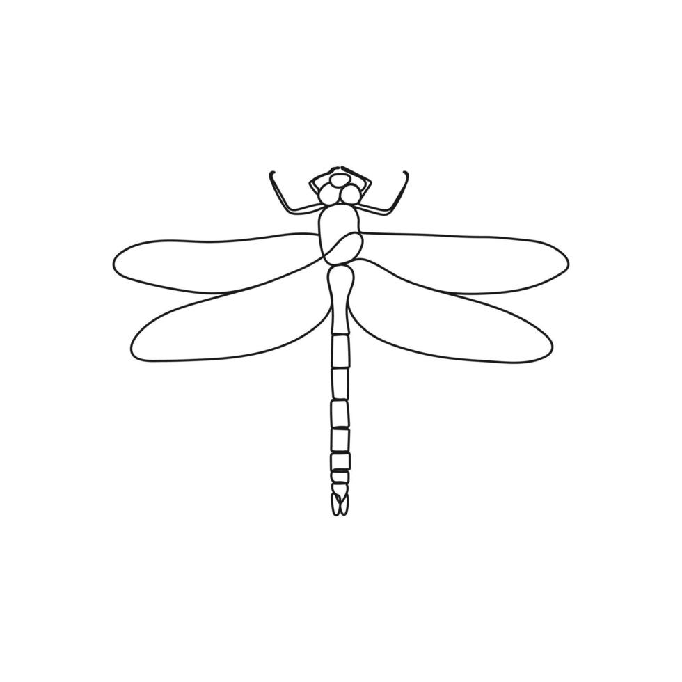 Dragonfly insect in one line drawing style. Minimal hand drawn vector illustration.