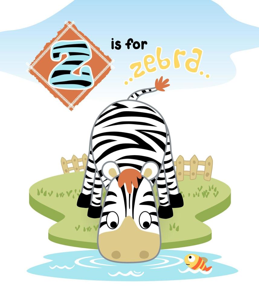 Cartoon of cute zebra drinking water in the swamp, little fish in water vector