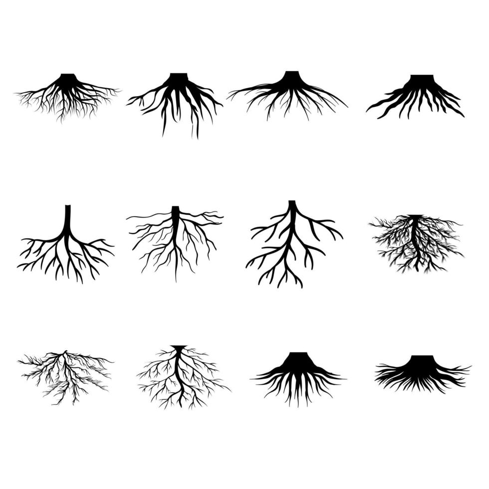 Root vector icon set. tree illustration sign collection. herbs symbol.