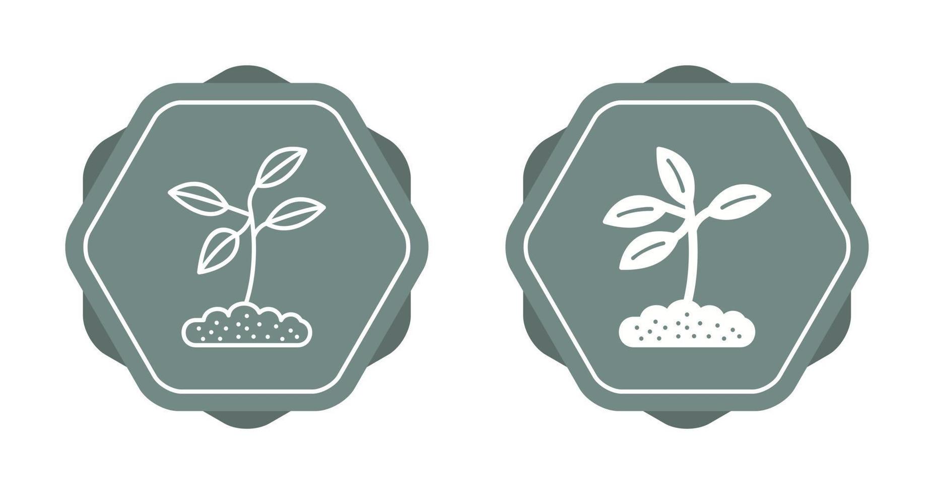 Plant Vector Icon