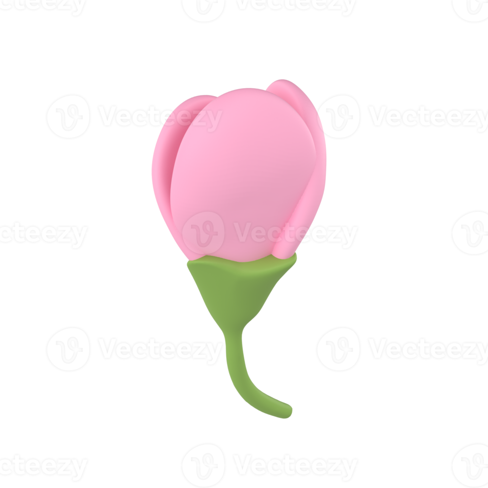 3D icon render spring Cherry flower unopened bud Blossom Sakura illustration. Simple and cute petal isolated transparent png backgroundath