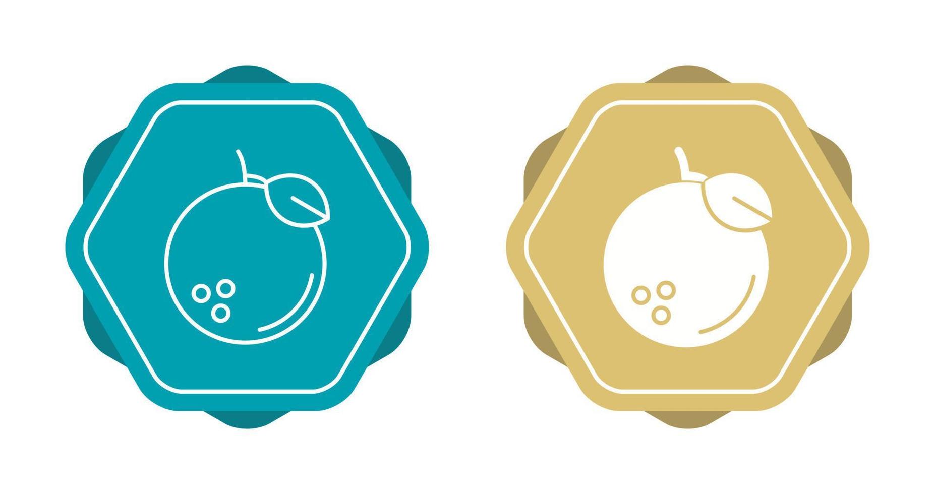 Orange Vector Icon