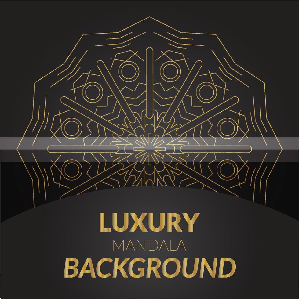 Modern Creative Mandala Design Template vector