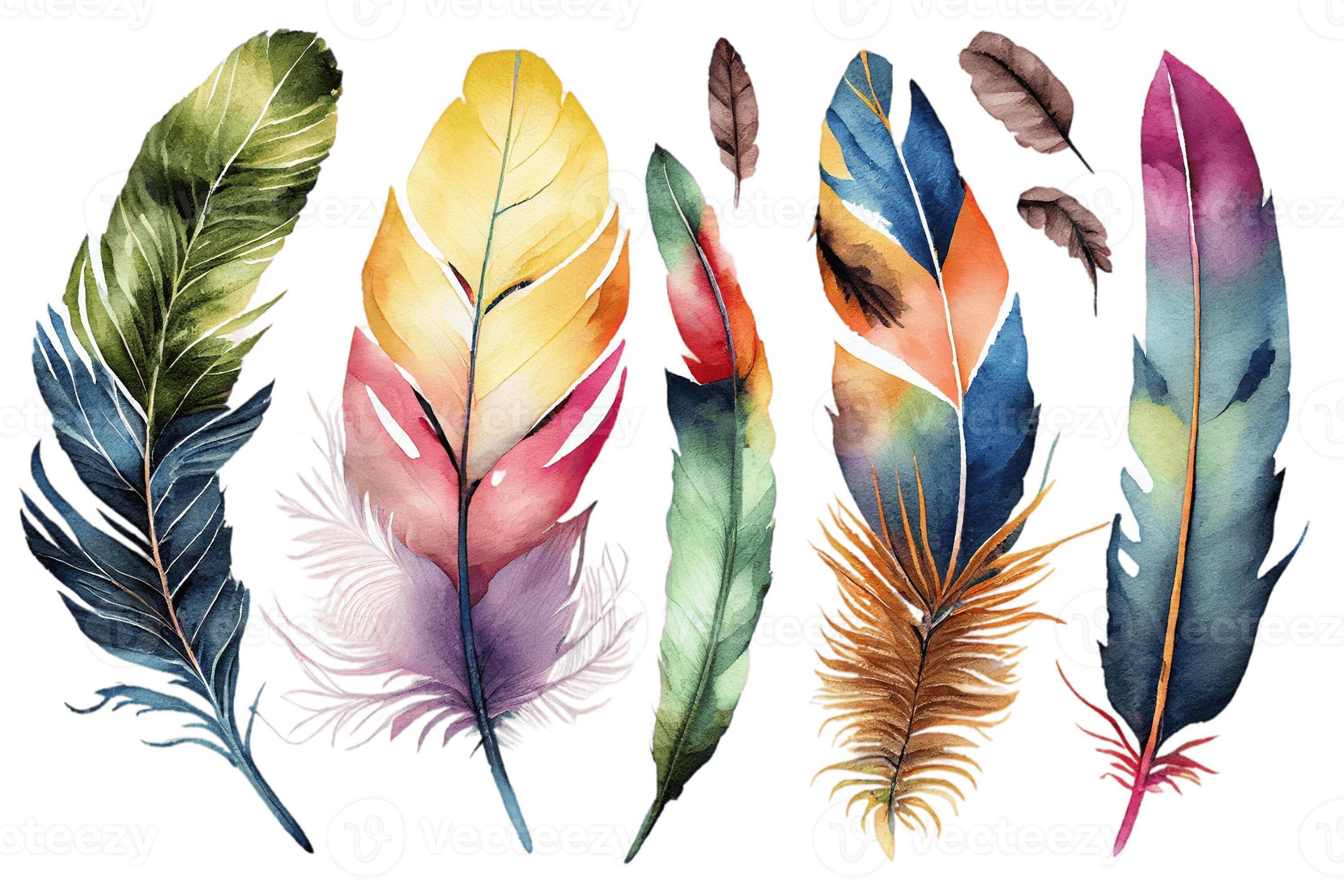 Set of watercolor bird feathers. Hand drawn illustration 22381102 Stock  Photo at Vecteezy