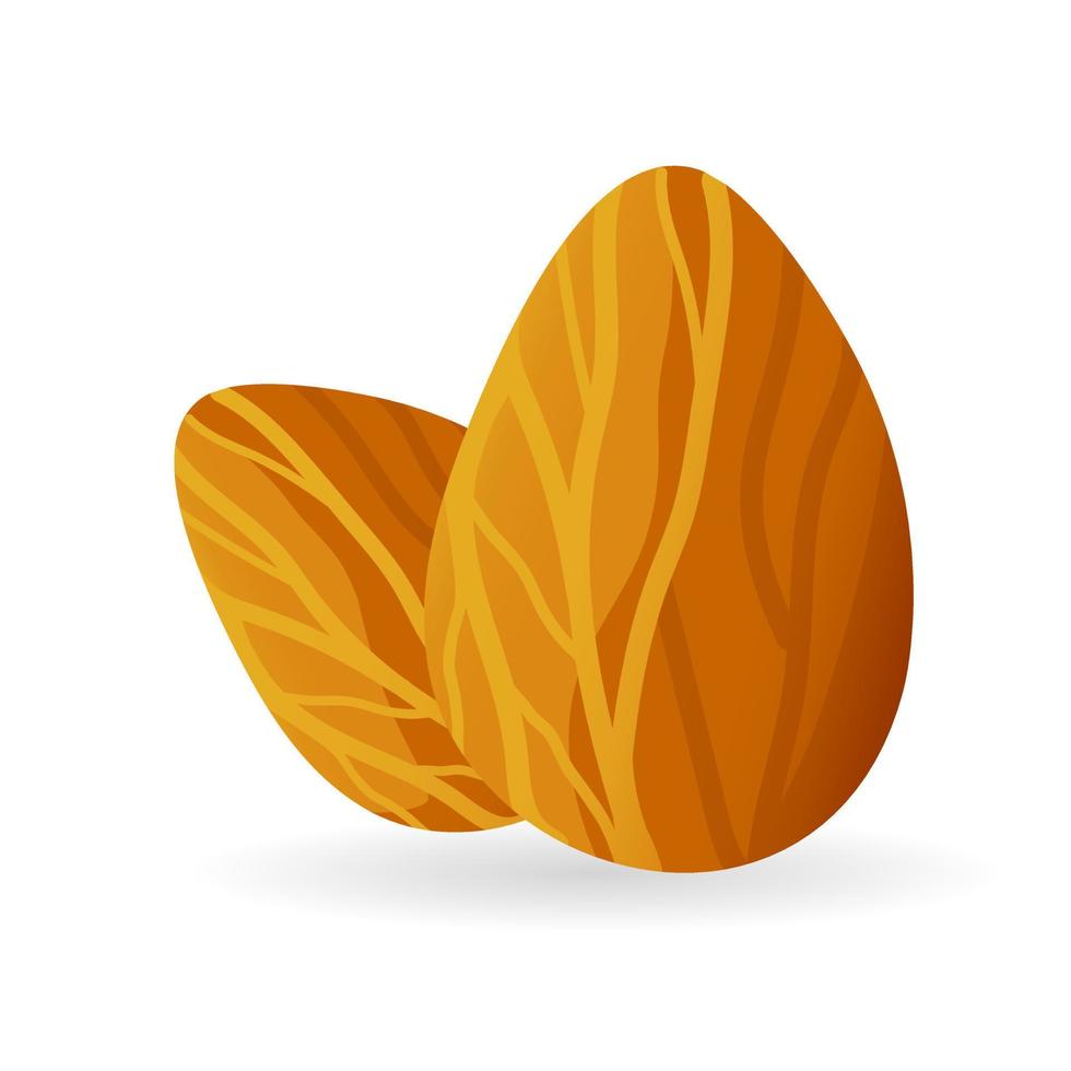 Realistic cartoon almond seed plant. Colorful vector nut illustration. Icon isolated on white background.