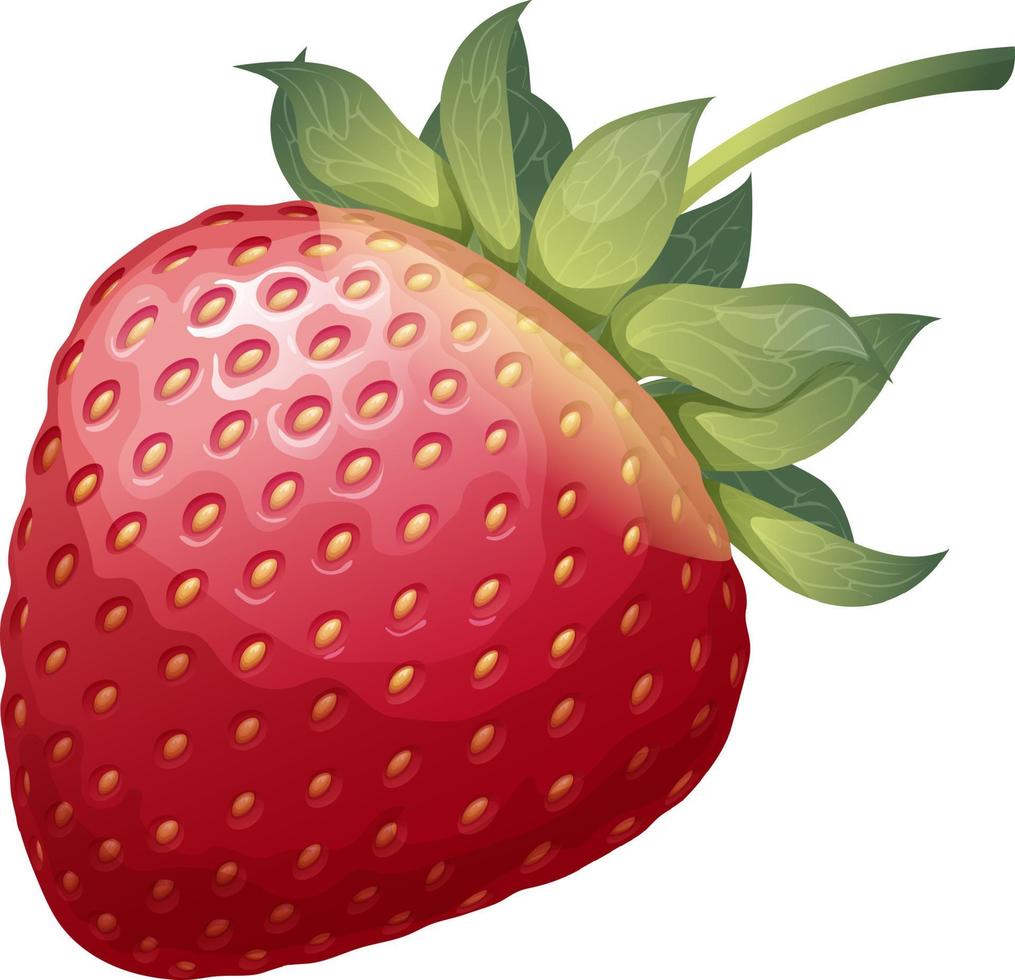 Ripe strawberry isolated on white background.Berry vector illustration. Icon.
