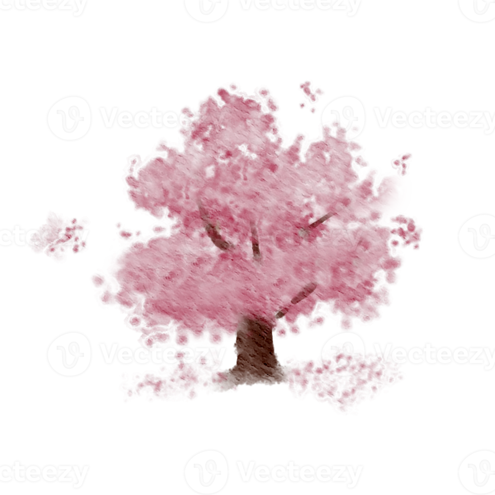 A cherry blossom tree watercolor png