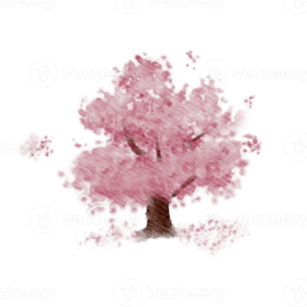 un Cereza florecer árbol acuarela png