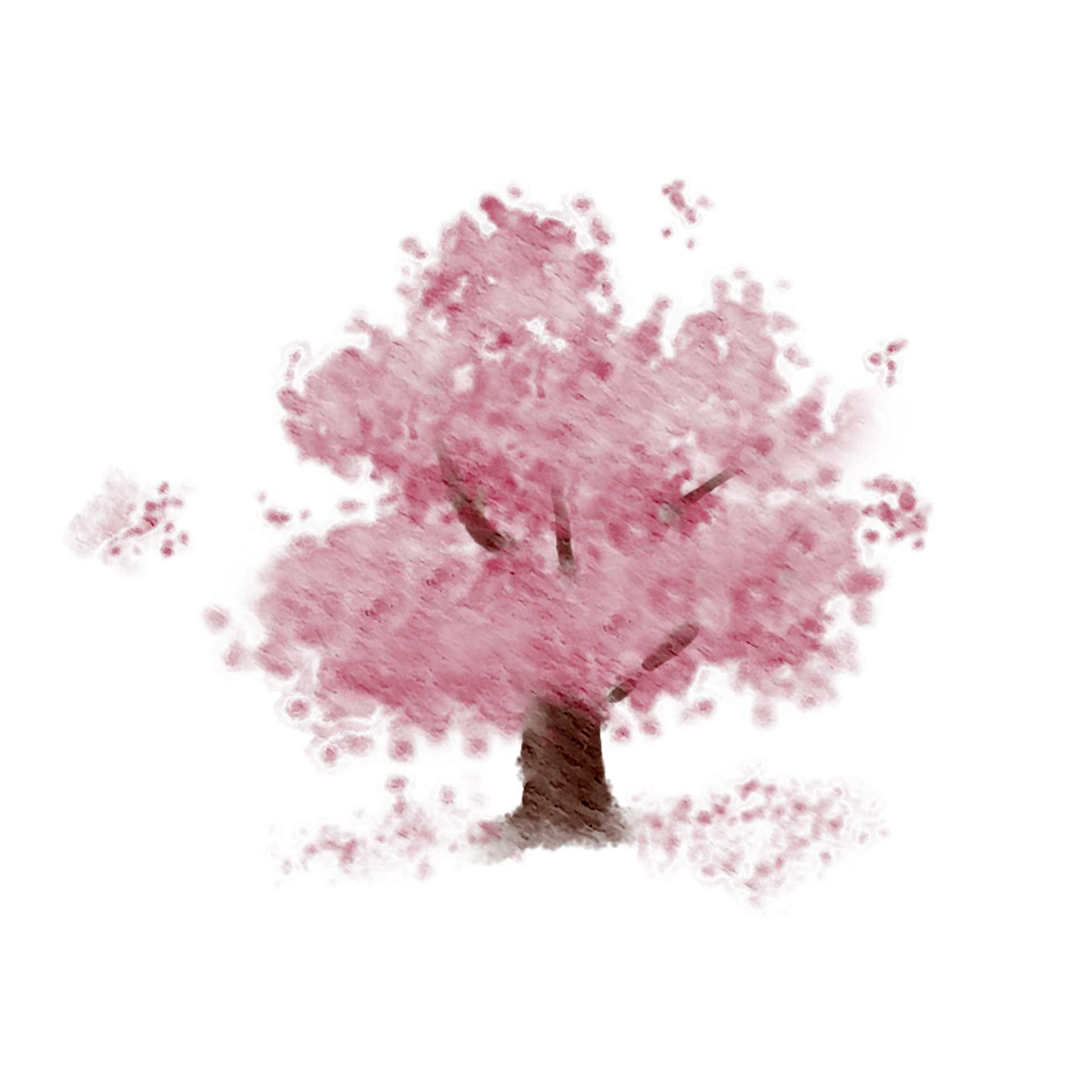 A Cherry Blossom Tree Watercolor 22383187 PNG a-cherry-blossom-tree-watercolor-22383187-png