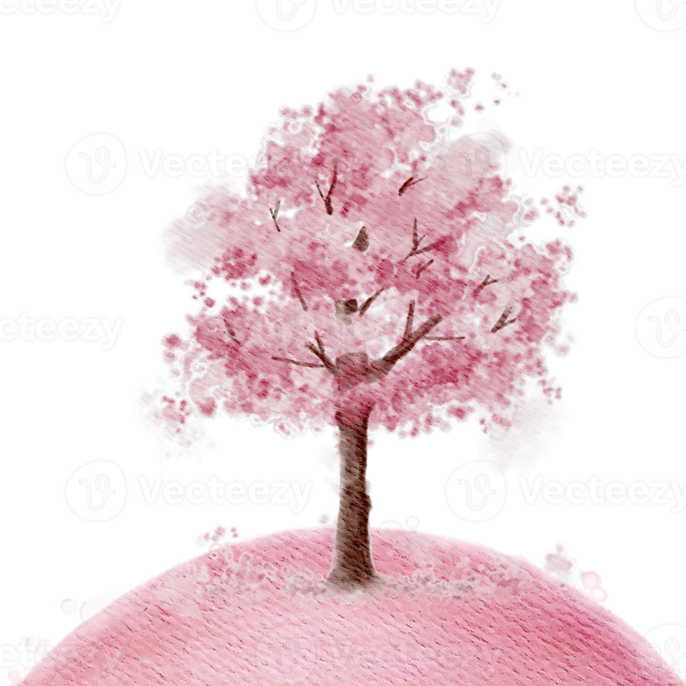 A cherry blossom tree watercolor png