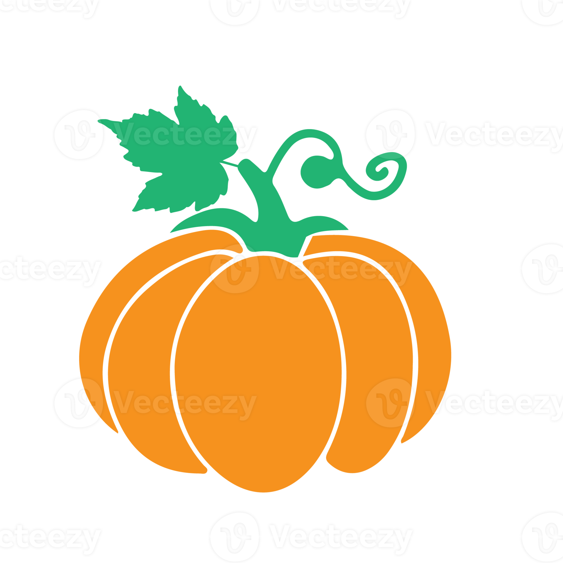 Beautiful Pumpkin Thanksgiving 22384104 PNG