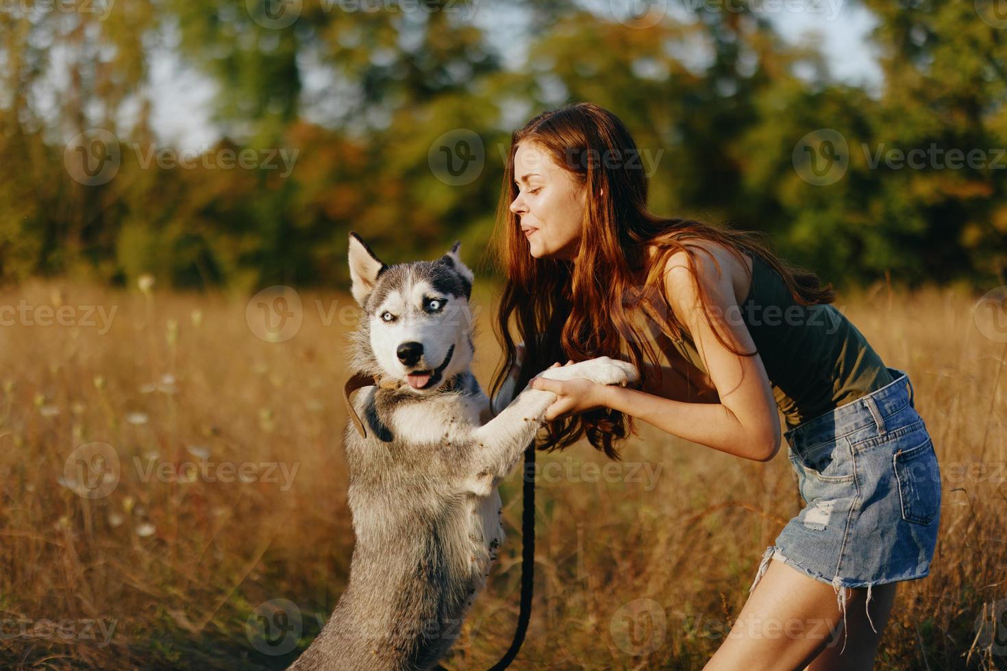 A slender woman plays and dances with a husky breed dog in nature in autumn on a field of grass and smiles at a good evening in the setting sun photo