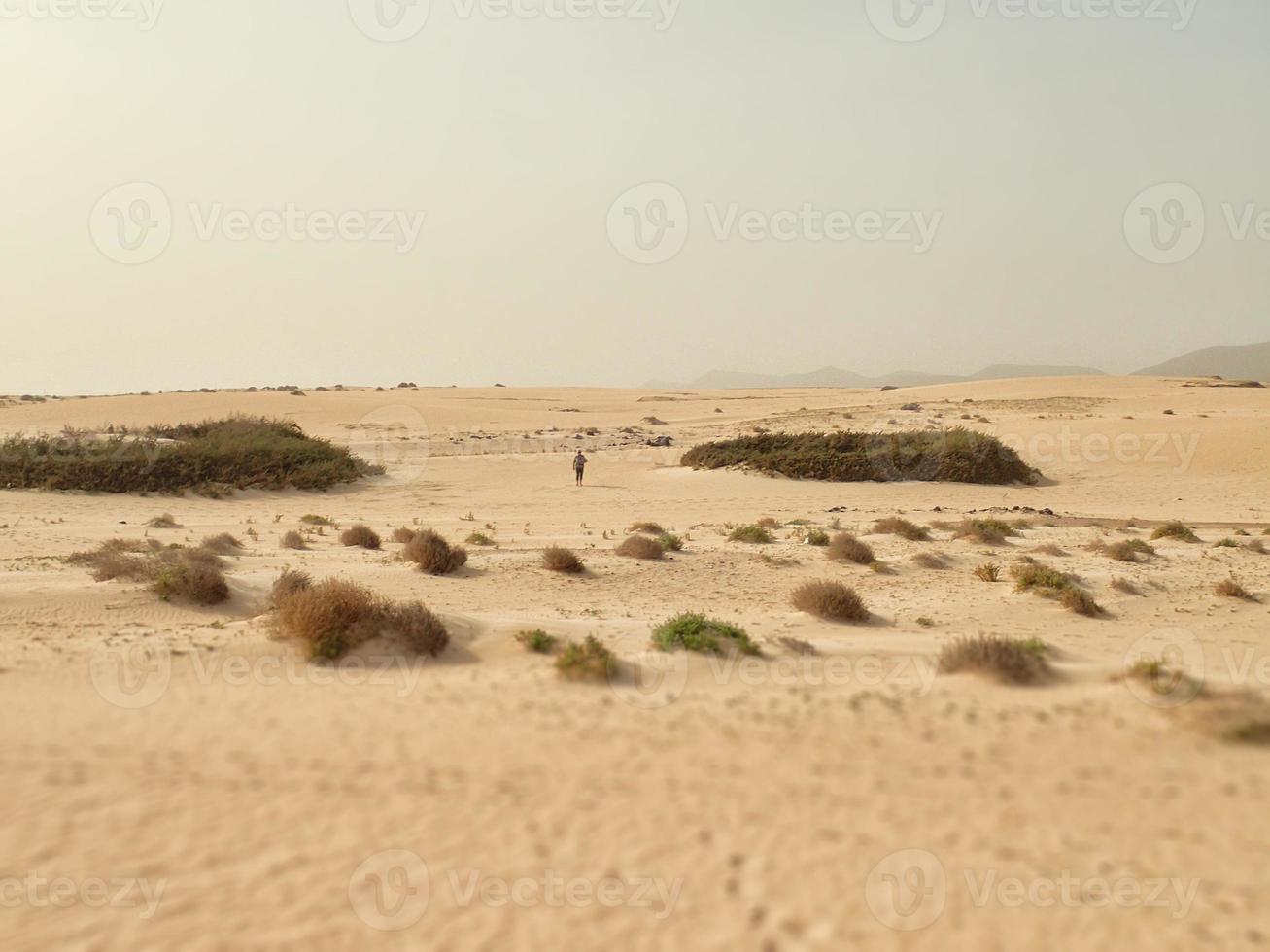 landscape from the Spanish Canary Island Fuerteventura with dunes and the ocean photo