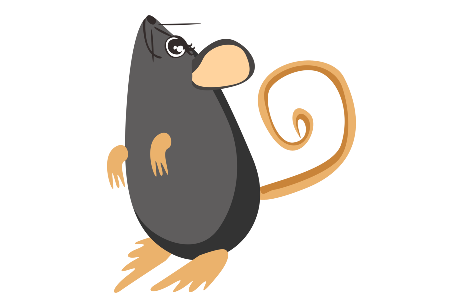 schattig dier - Rat - muis png