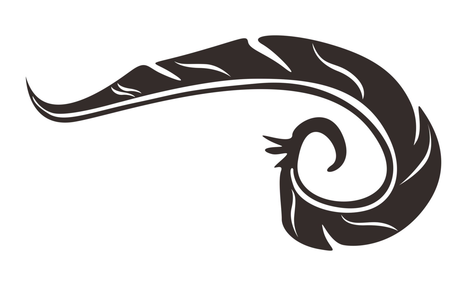 diseño elementos - negro pájaro pluma con transparente antecedentes png