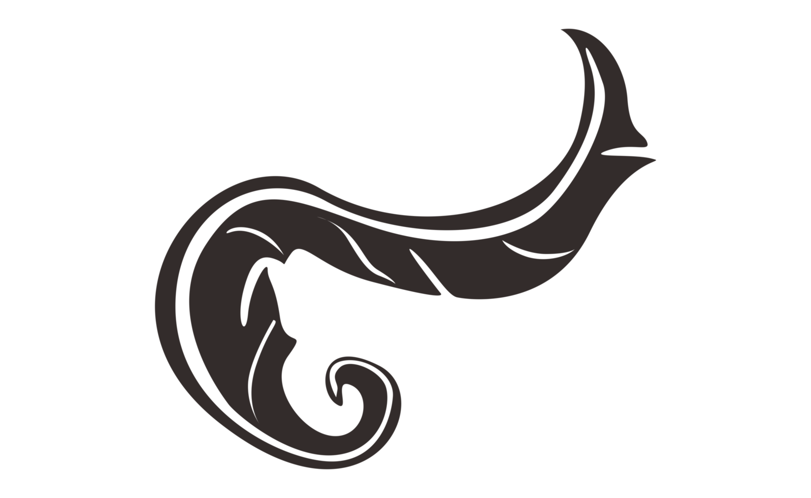 Design Elements - Black Bird Feather With Transparent Background png
