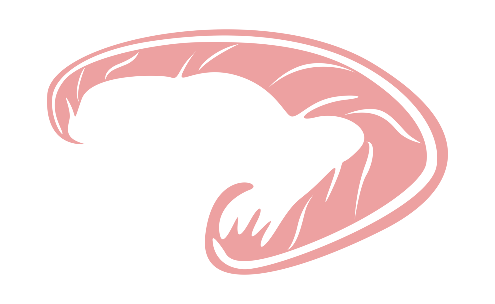 diseño elementos - rosado pájaro pluma con transparente antecedentes png