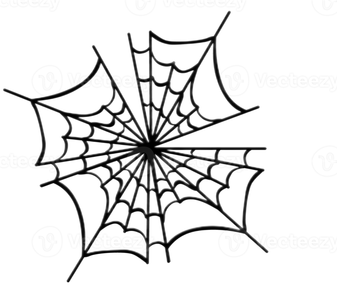 Halloween - Spider Webs png