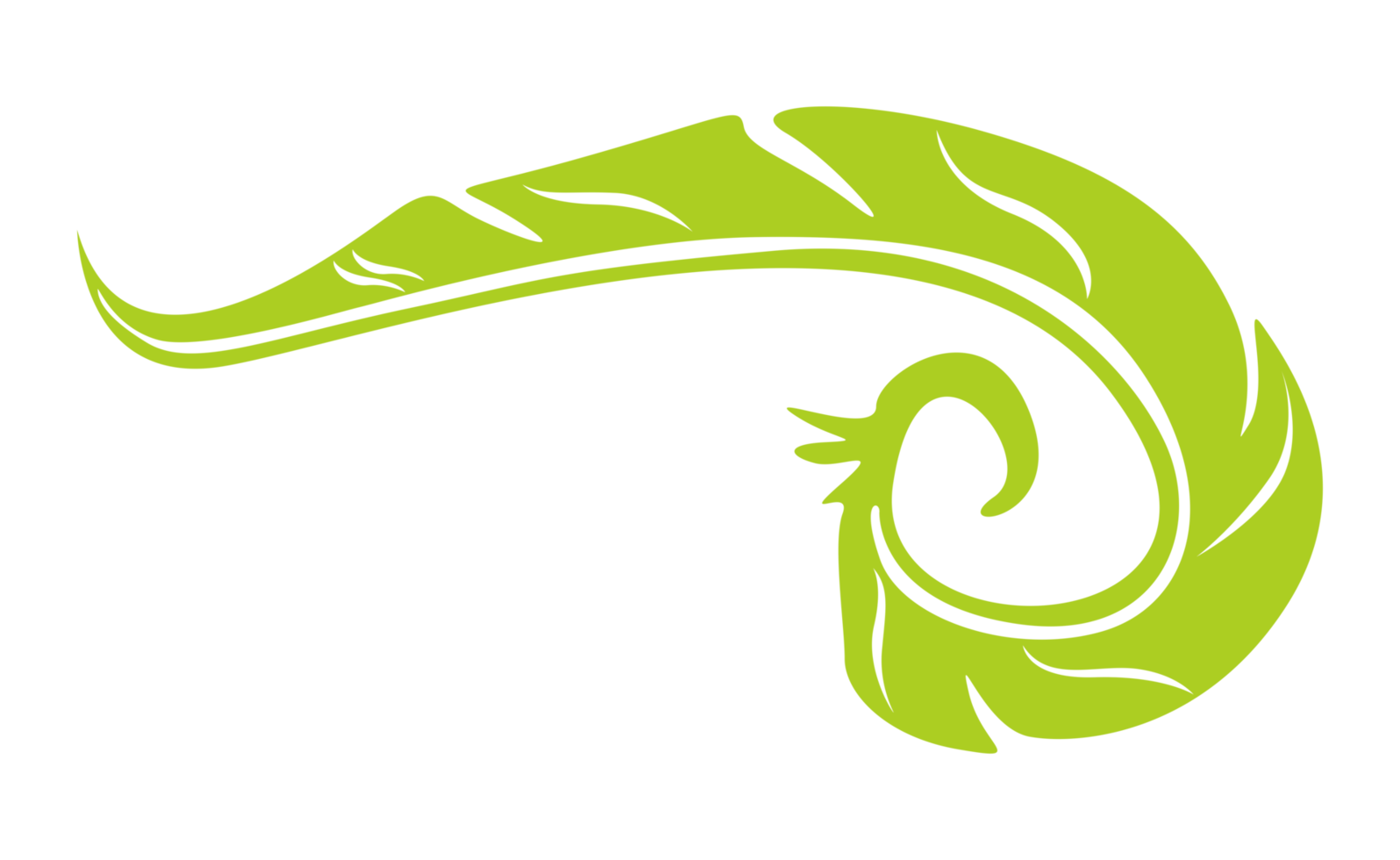 design element - grön fågel fjäder med transparent bakgrund png