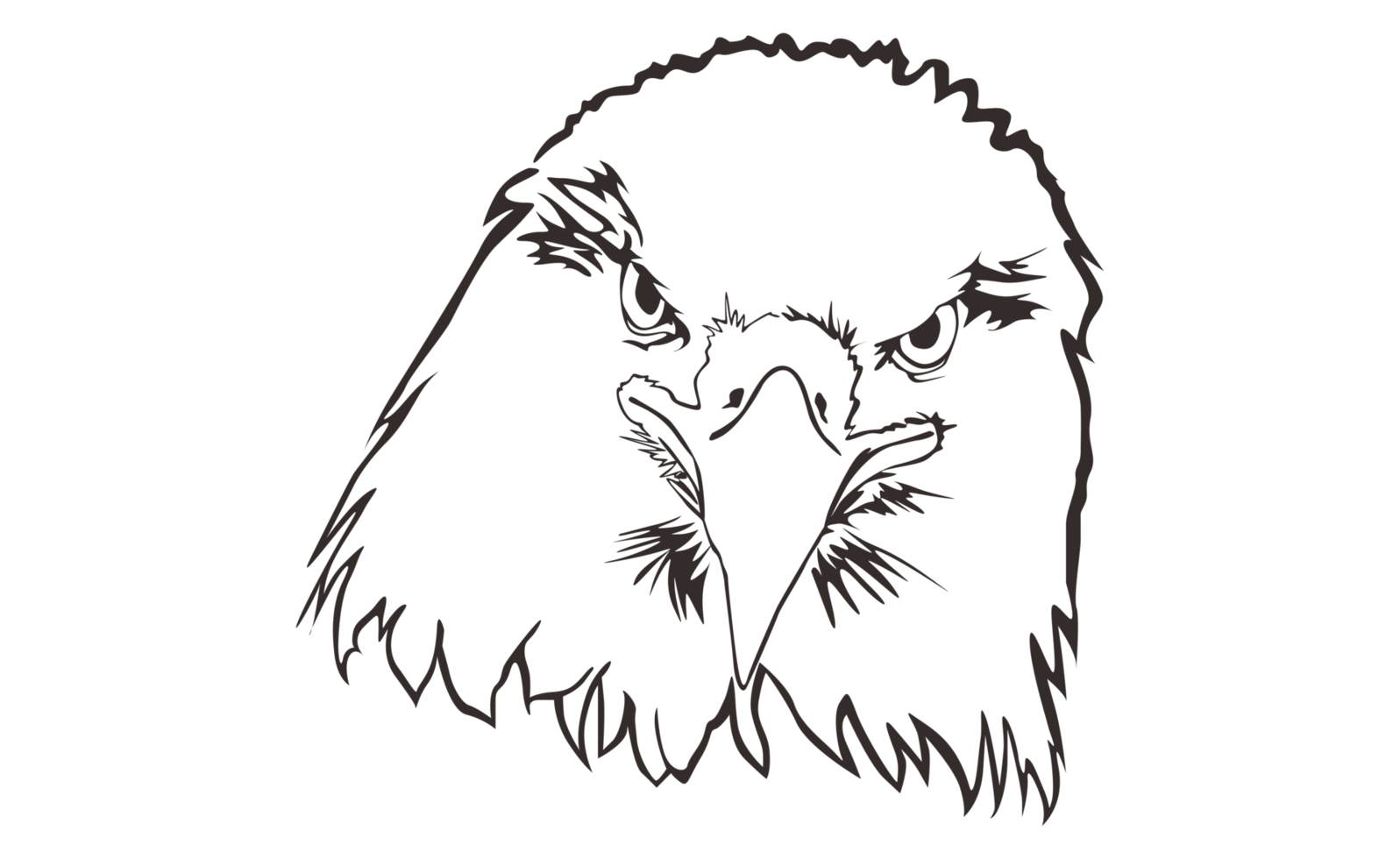 Animal - Eagle Head Line Art png