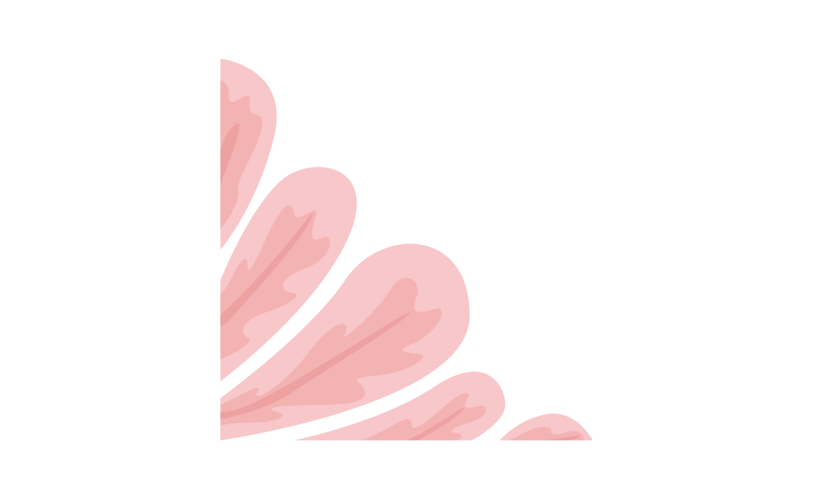 Pink Flower Petal Ornament Design png