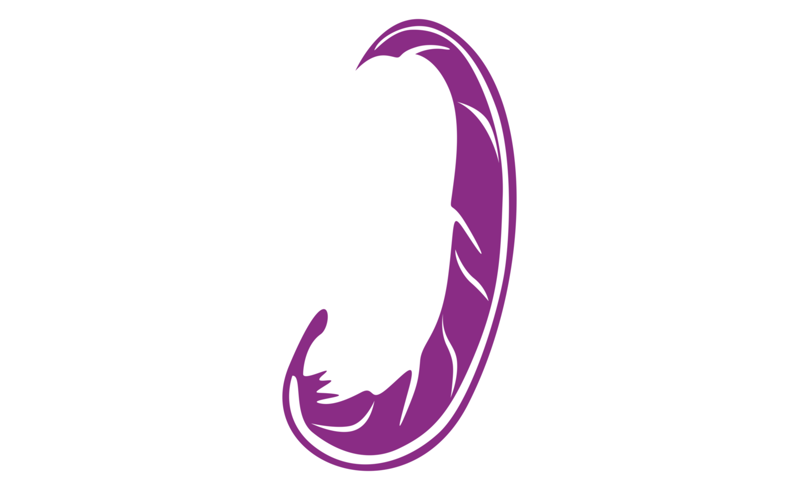 Design Elements - Purple Bird Feather With Transparent Background png