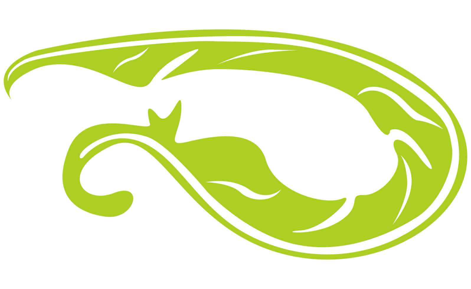 design elementi - verde uccello piuma con trasparente sfondo png