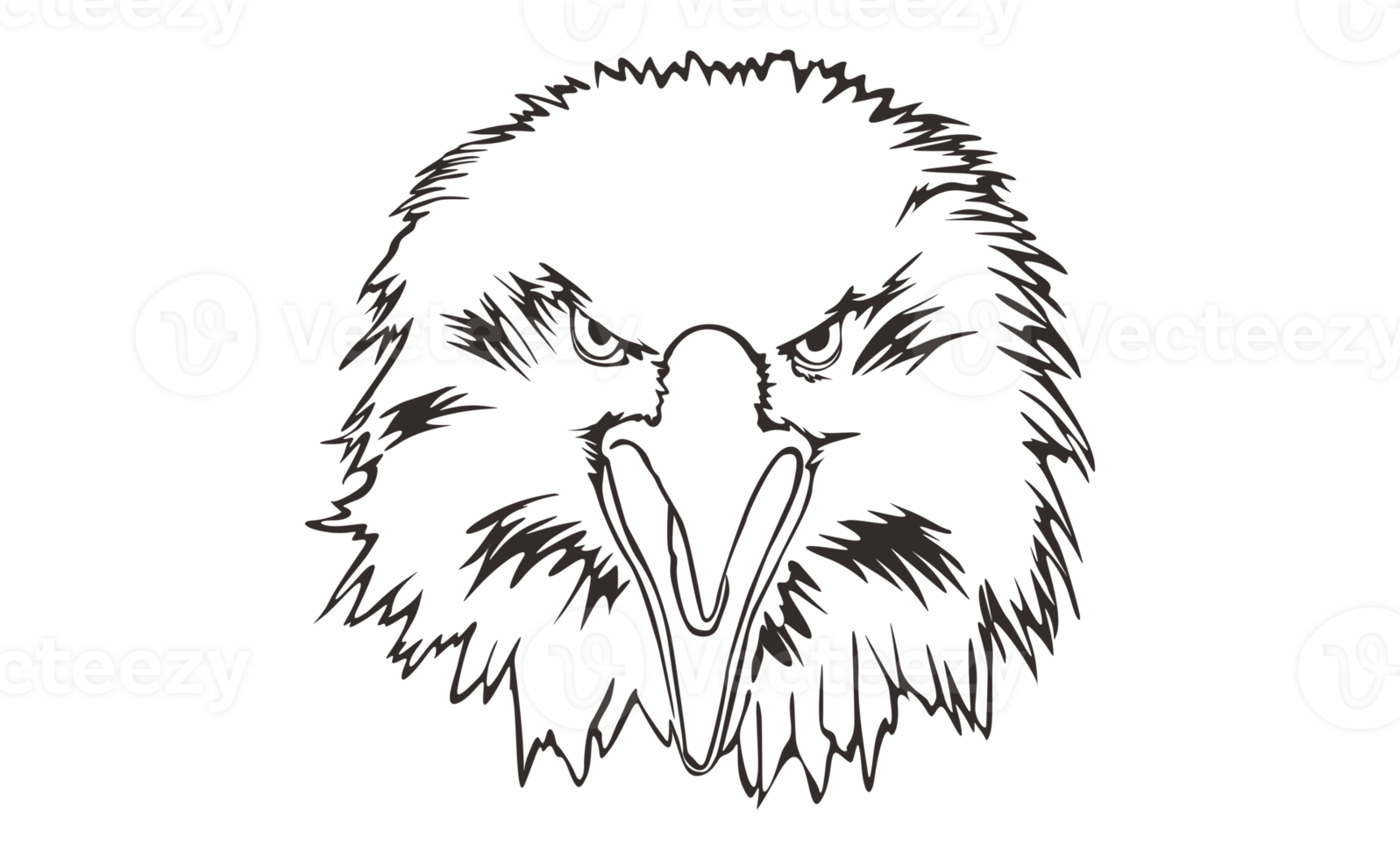 Animal - Eagle Head Line Art png