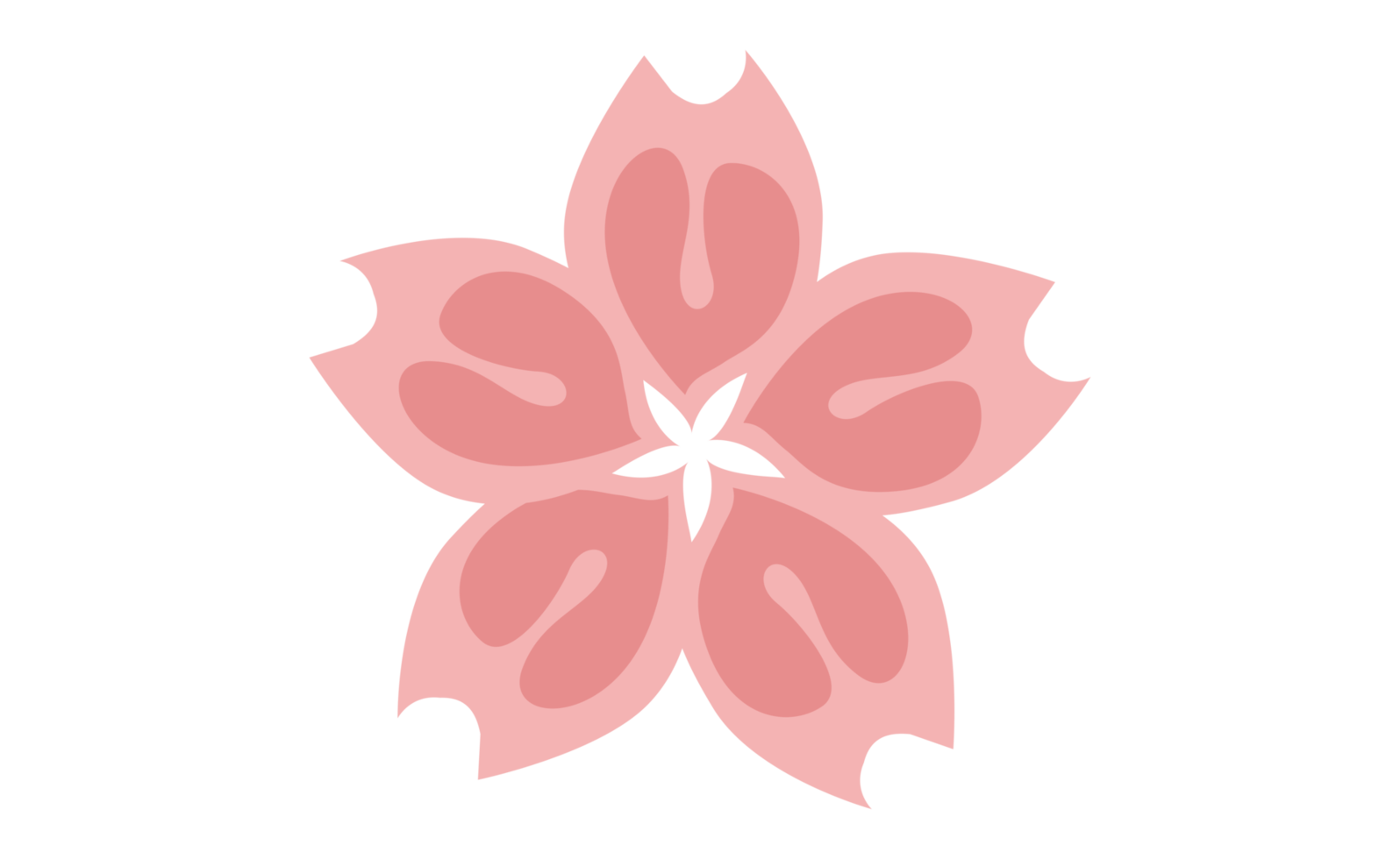 blomma - rosa sakura blomma kronblad png