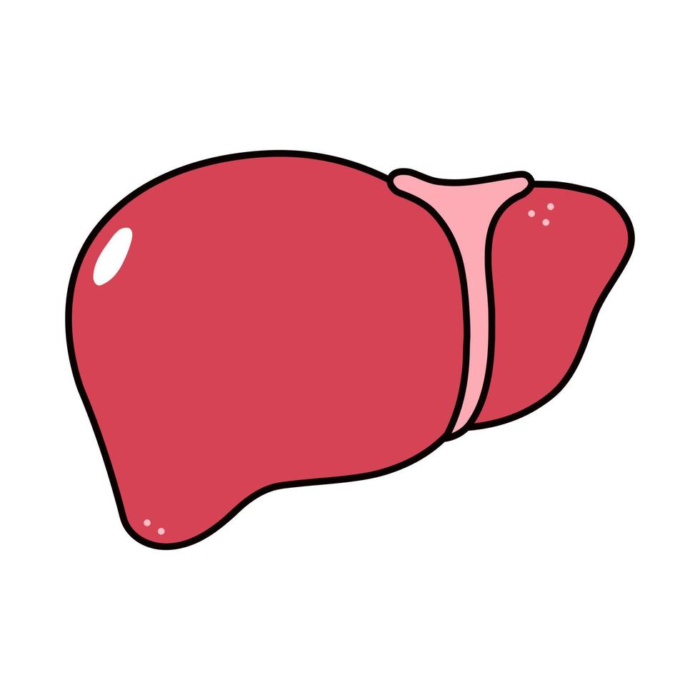 Cute funny Liver icon. Vector hand drawn traditional cartoon vintage, retro, kawaii character illustration icon. Isolated on white background. Liver character concept