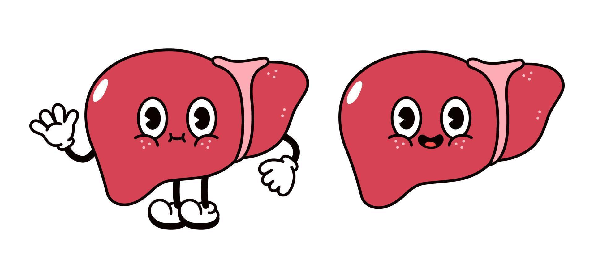 Cute funny Liver character. Vector hand drawn traditional cartoon vintage, retro, kawaii character illustration icon. Isolated on white background. Liver character concept