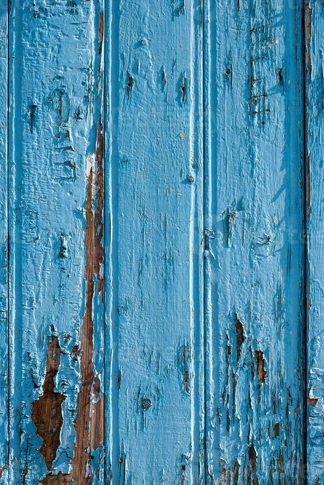Fence from old blue boards. The boards are wide, with cracked old paint, arranged vertically. Vertical frame. photo