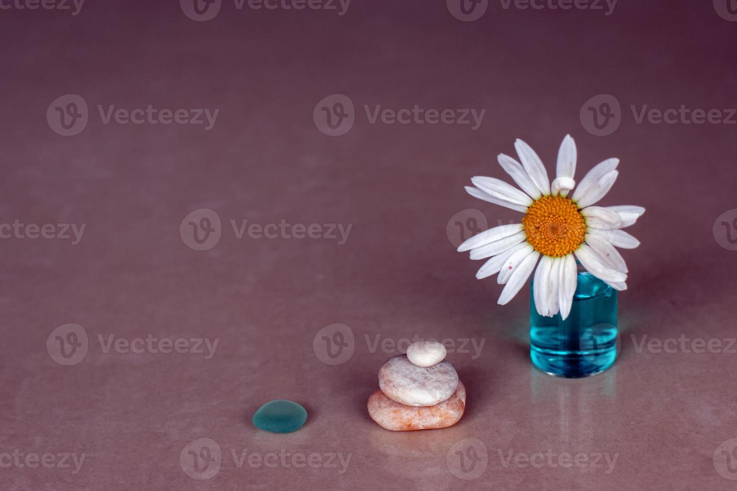Chamomile is stuck in a bottle with blue aromatic oil and three pyramid-shaped pebbles and a glass piece on a rose background of ceramic tiles. Selective focus on the pebbles. Place for text. photo