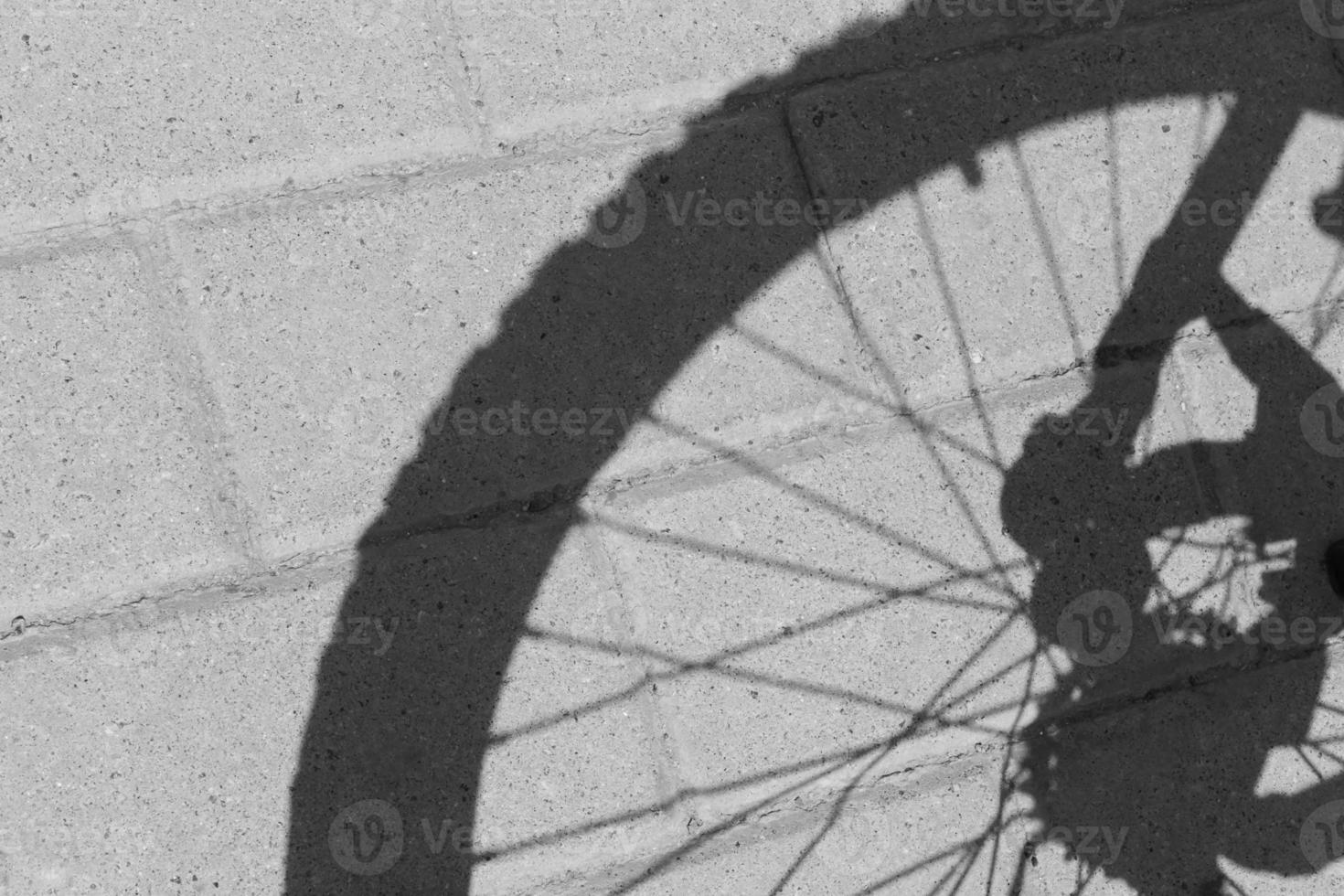 black and white photo of shadow of back wheel of bicycle