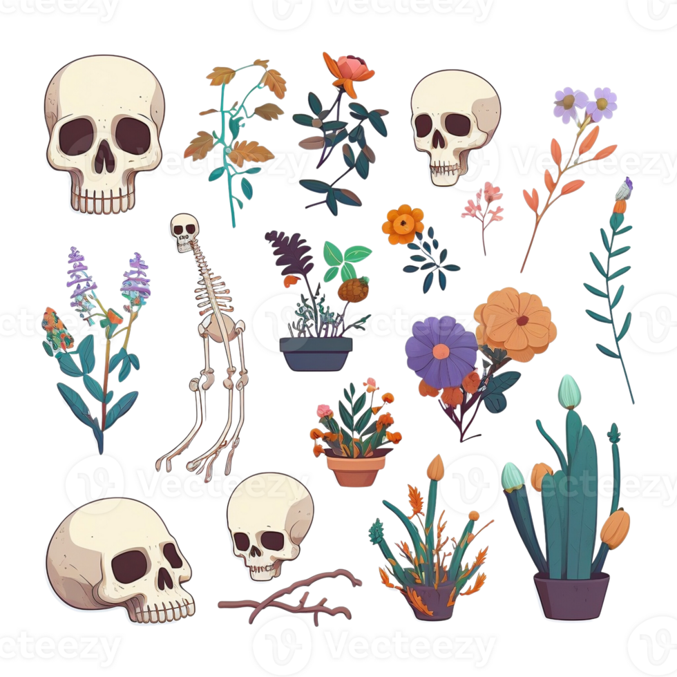 Illustration of Skeleton and Botanical, Bones, Flowers. png