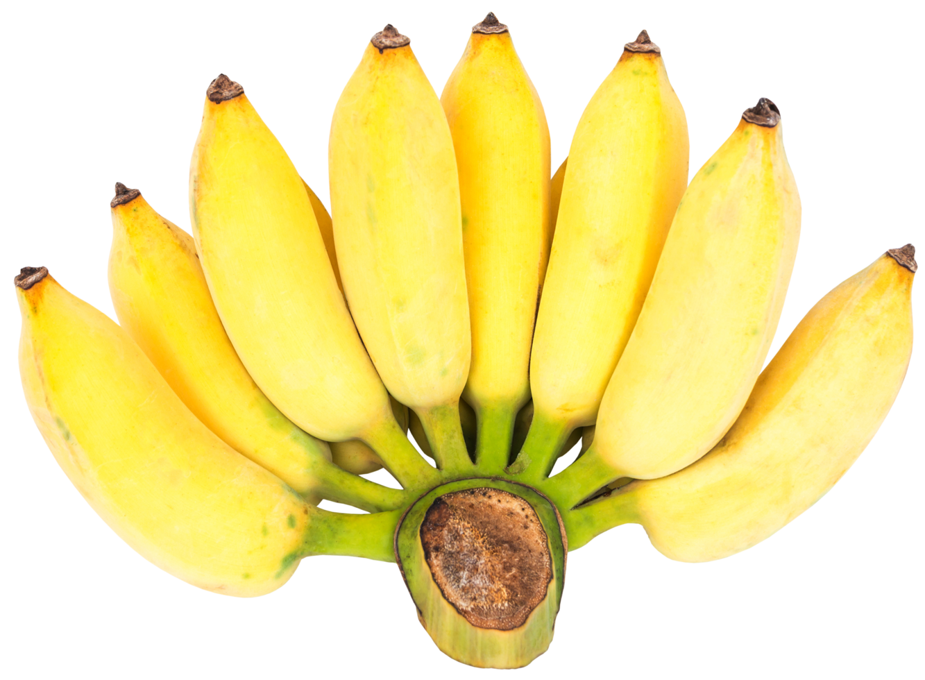 Ripe Pisang Awak banana 22387968 PNG
