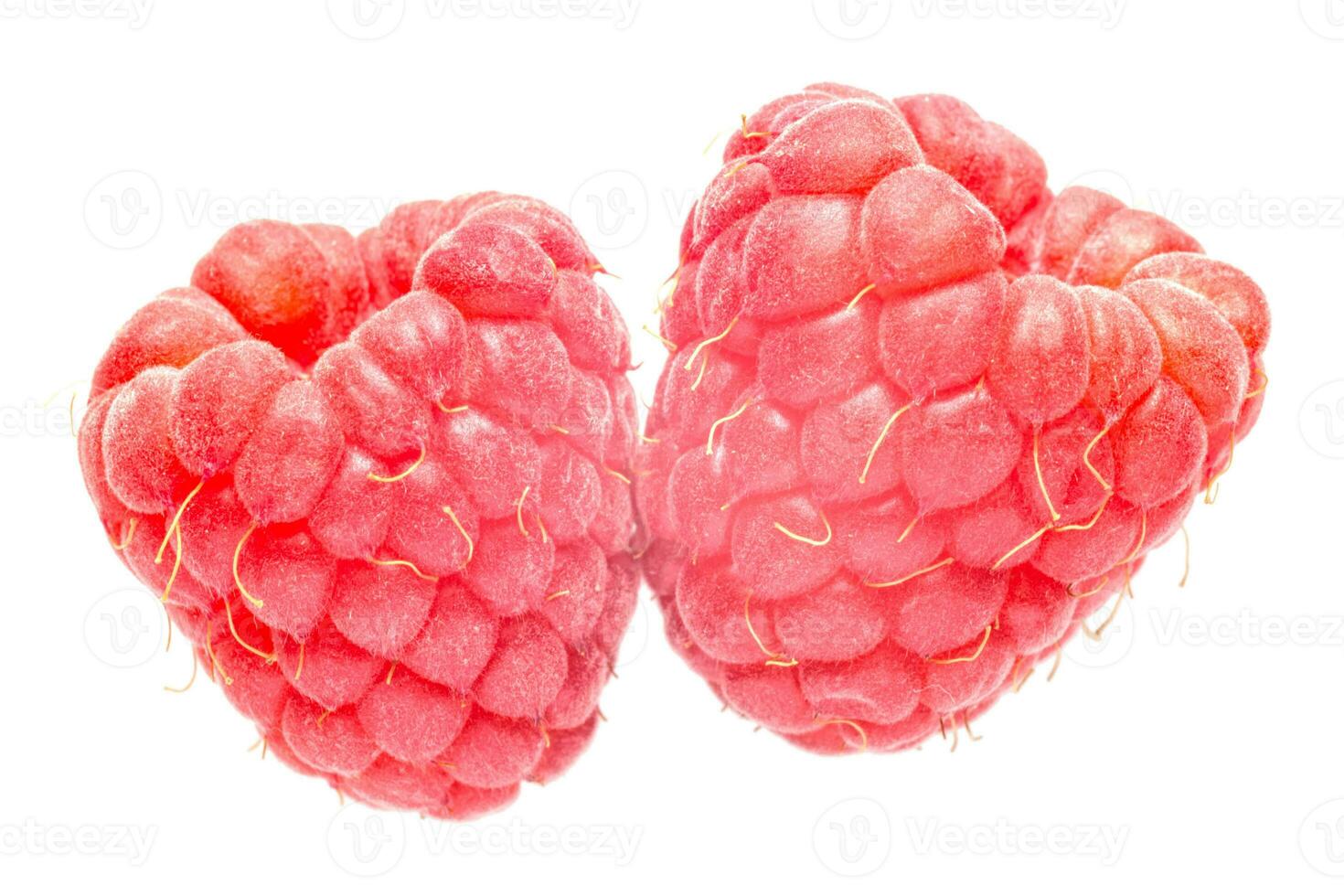 close up of two raspberries isolated on white photo