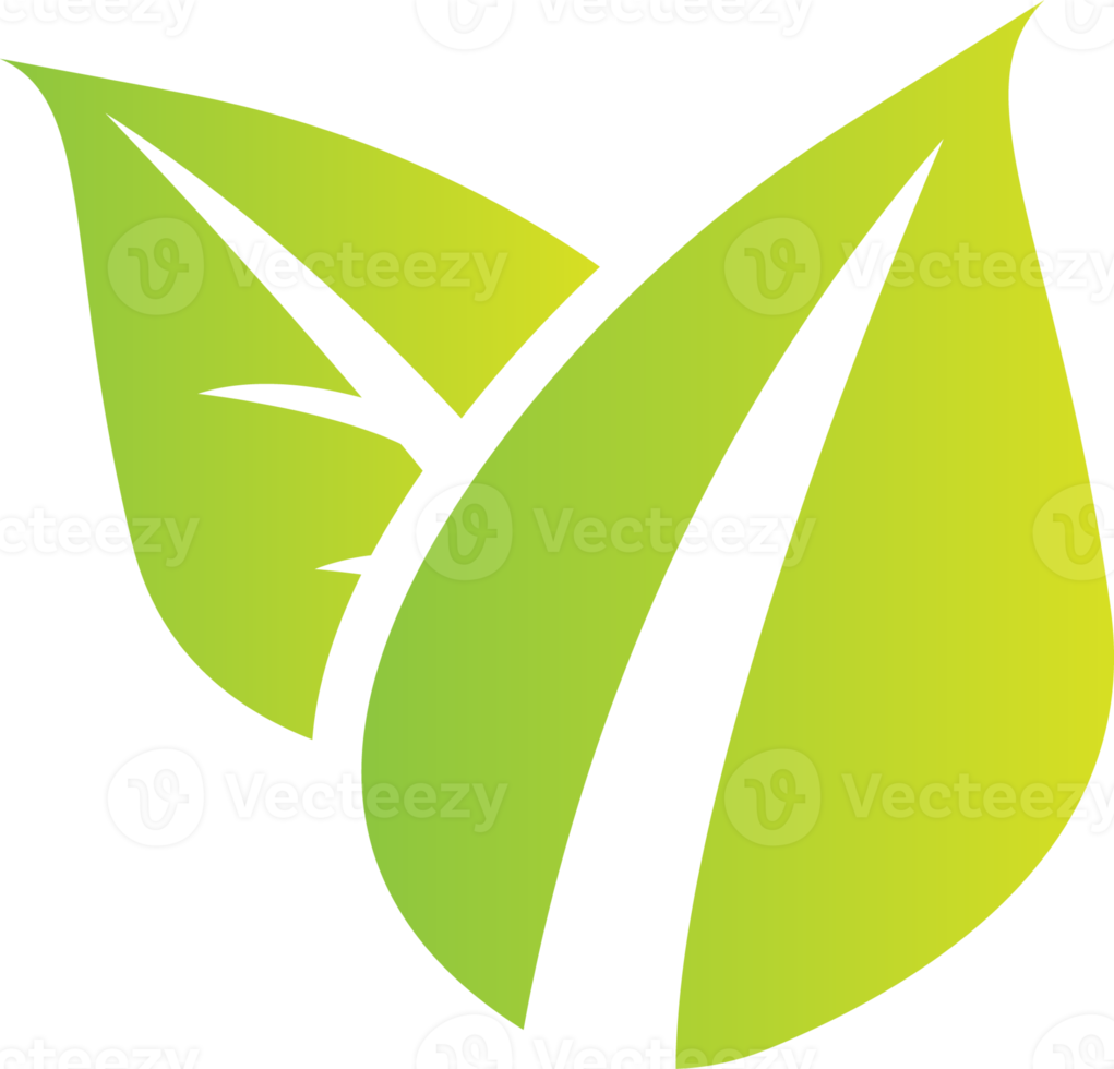 vert feuille pour spa ou éco concept png