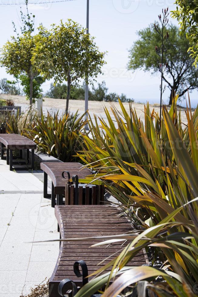 Wooden bench and tropical plants on the terrace of a park with a sea view. Landscape design at the recreation park. photo
