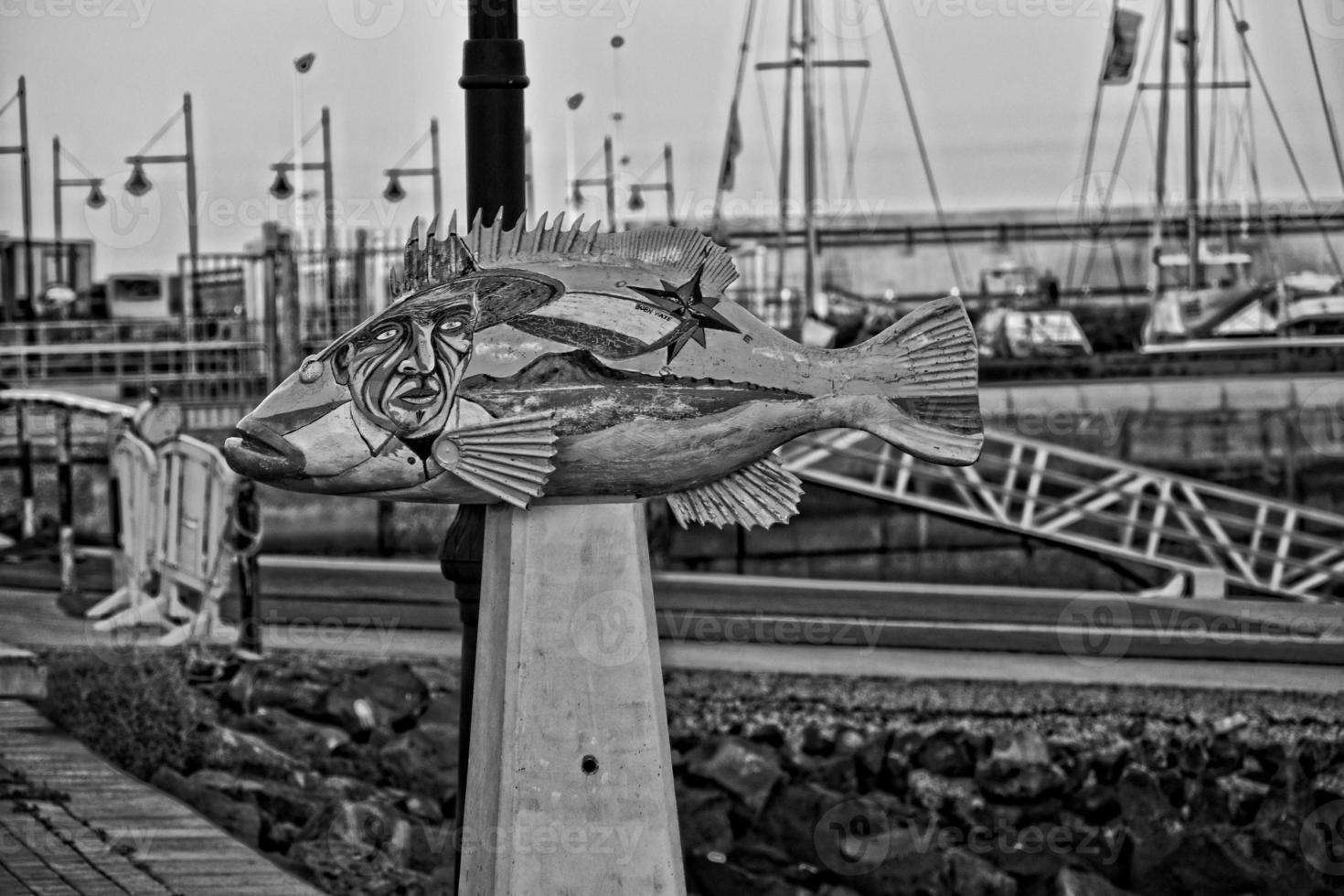 colorful fun fish monuments in the port of Corralejo, Spain photo