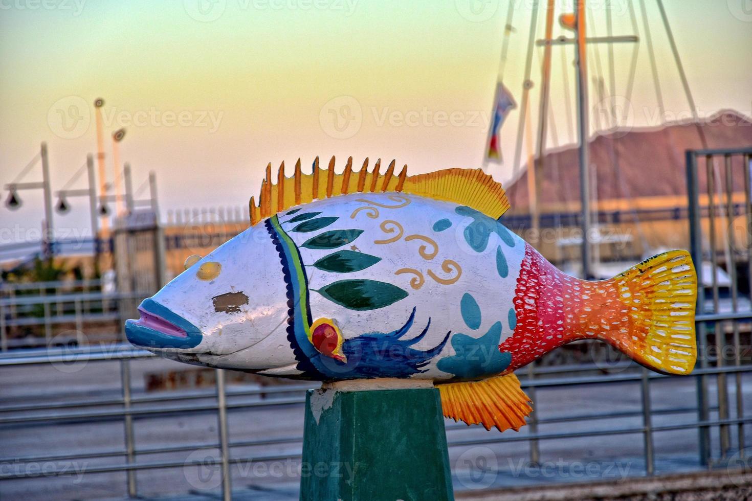 colorful fun fish monuments in the port of Corralejo, Spain photo