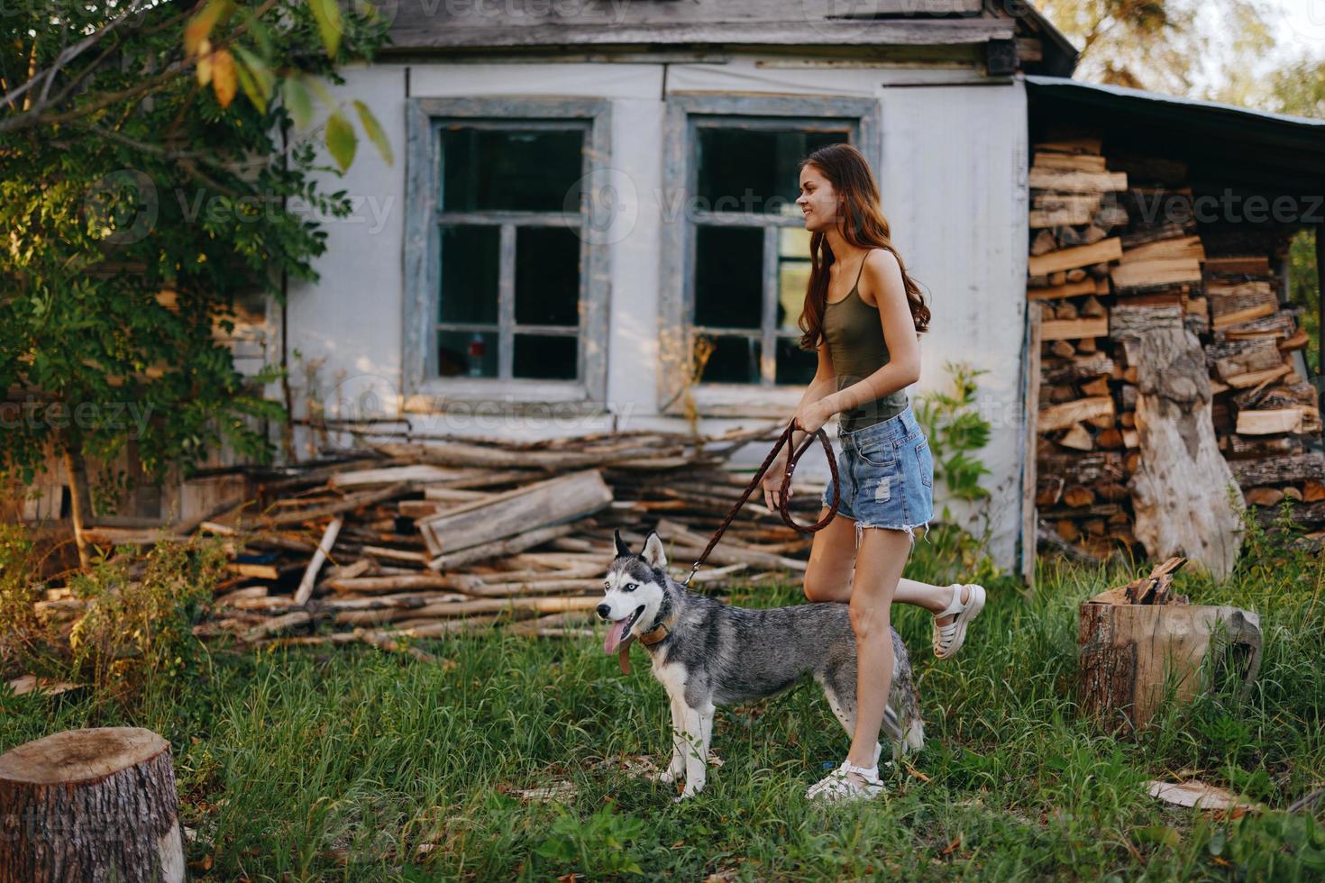 Woman and her husky dog happily playing outdoors in the park among the trees smile with teeth in the autumn walk with her pet photo