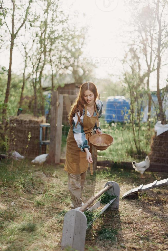 A woman pours organic feed into a chicken feeder at a farm in a plaid shirt, pants, and apron on a sunny summer evening sunset photo