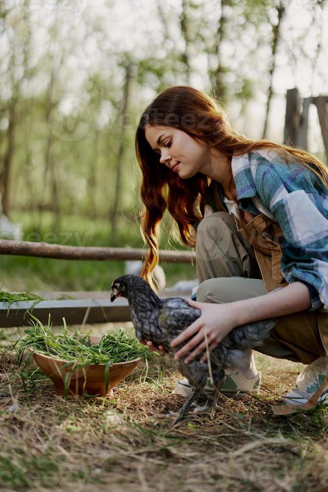 Woman smiles looking at the chicken she holds near the feeder in her hands on the farm, farm labor for raising healthy birds and feeding them organic food in nature photo